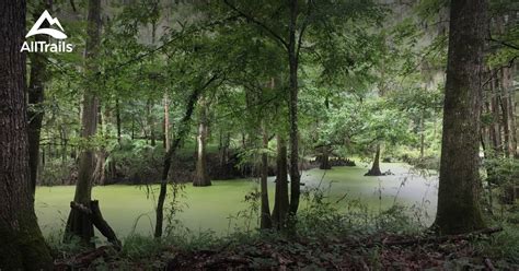 TOP 10 BEST Things to Do near Brandon, MS .